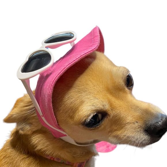 Dog Visor Hat & Sunglasses - Picture 5 of 9